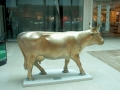Cowparade-17