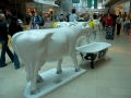 Cowparade-20