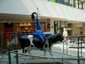 Cowparade-3