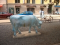 Cowparade-34
