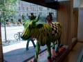 Cowparade-53