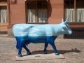 Cowparade-57