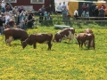 Utslapp-1